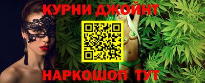 сатива Ставрополь