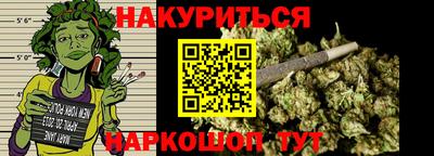 сатива Ставрополь