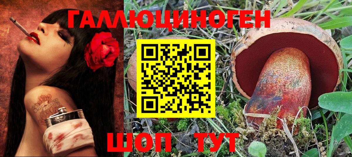Галлюциногенные грибы Psilocybe Новочеркасск