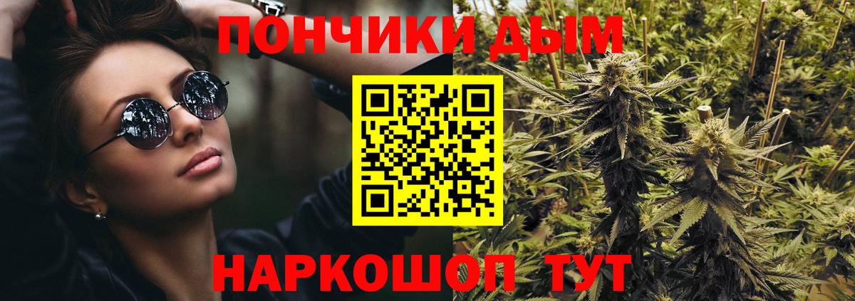 Каннабис сатива Новочеркасск